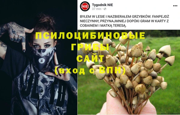 мяу мяу мука Алзамай
